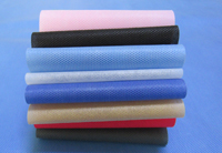 乌鲁木齐涤纶(PET)无纺布是什么